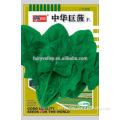 High Quality Chinese Spinach Seeds Leafy Vegetable Seeds For Planting-Chinese Big Spinach